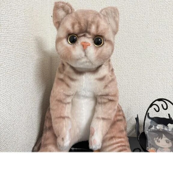 ✅ 問題です