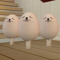 あやね