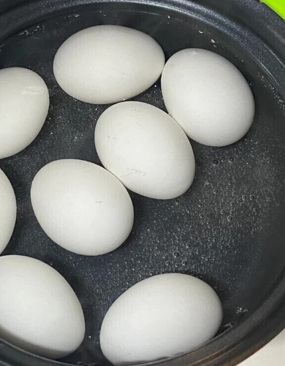 おやすみなさい🌙💤