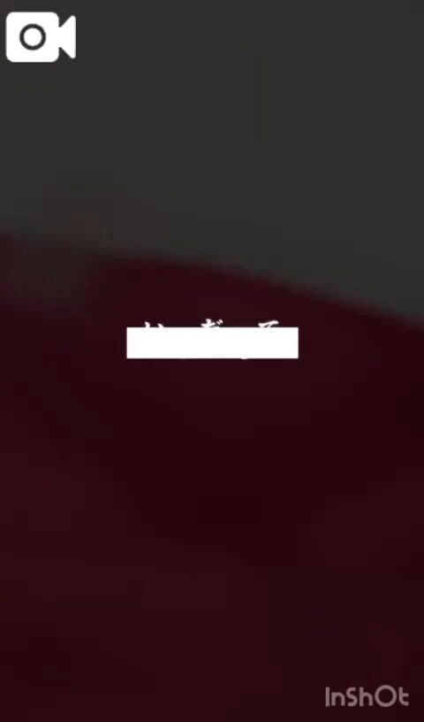 【定期】見た目はお姉さん中身は子供？！