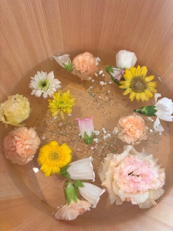 ペコリーヌ🙇🏻‍♀️՞