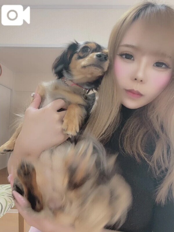 🌷申し訳ございまてん🌷