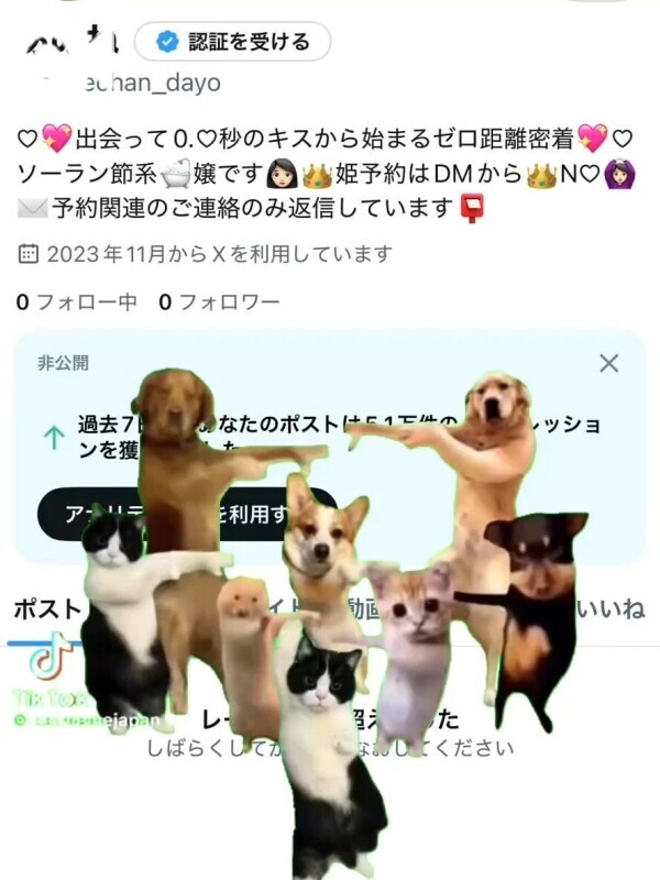 【悲報】凍☆結