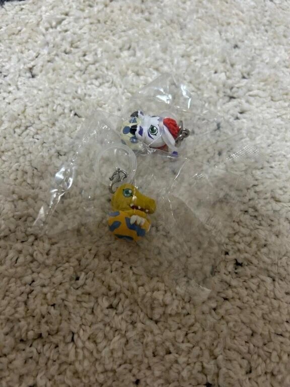 先日の悲劇🥲‎