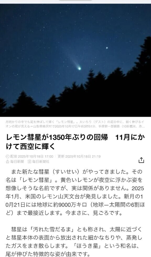 🍋🍋🍋🍋🍋🍋