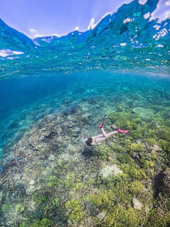 お知らせ⋆͛📢⋆