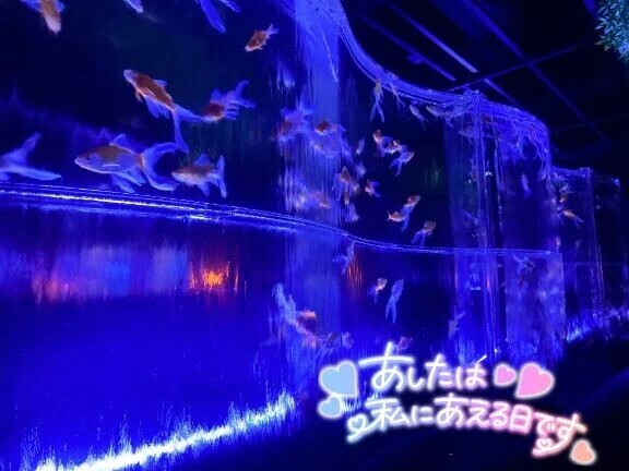 【明日9:00-17:00出勤】