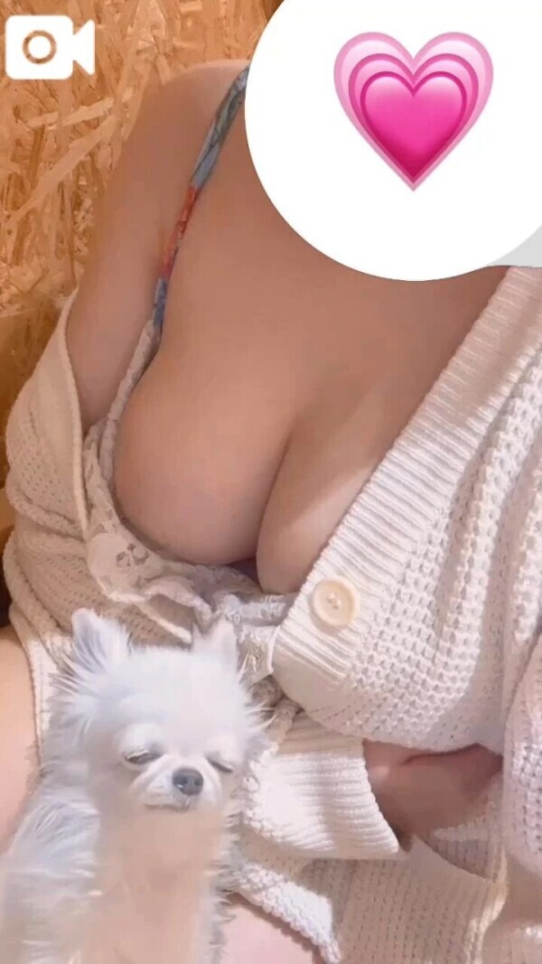 くっつきたいなあ、、