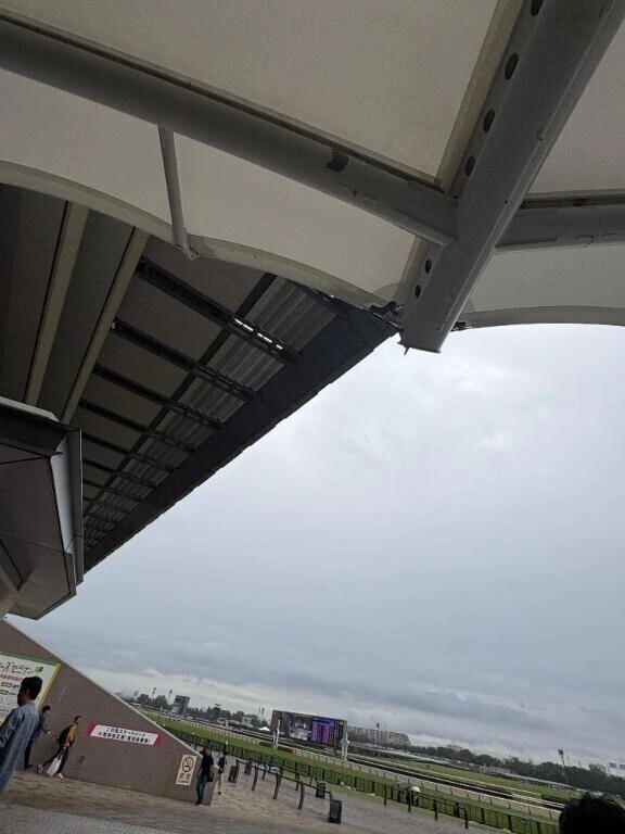 2週連続推し活🐴🤍