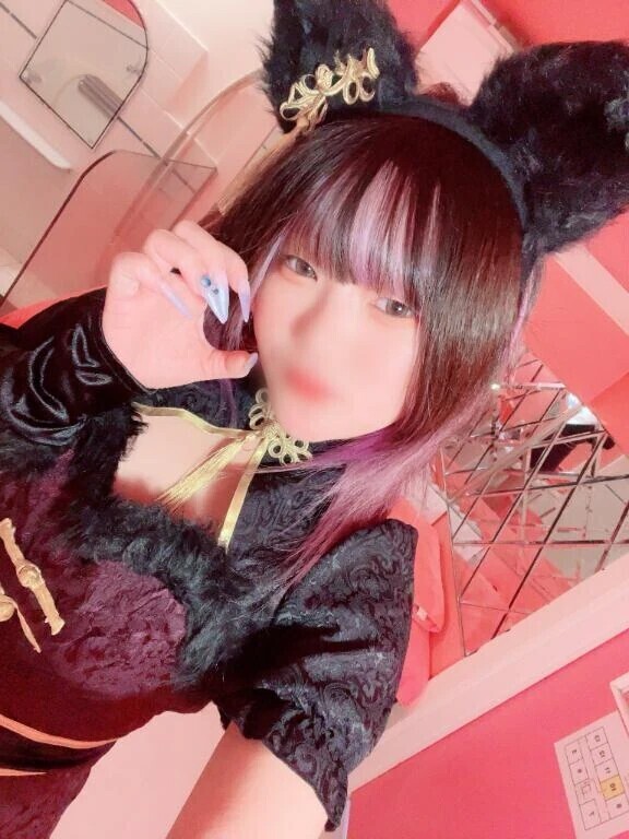 猫様出勤しました🐱