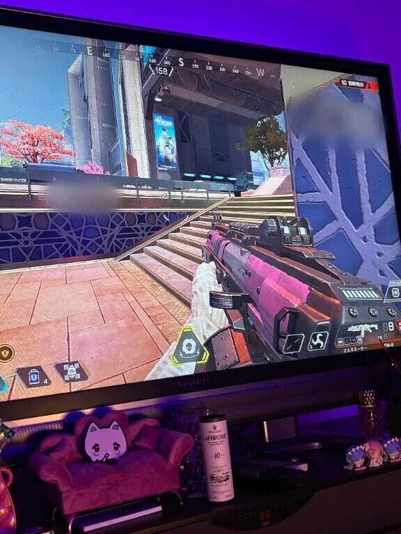 エペエンジョイ勢でっす