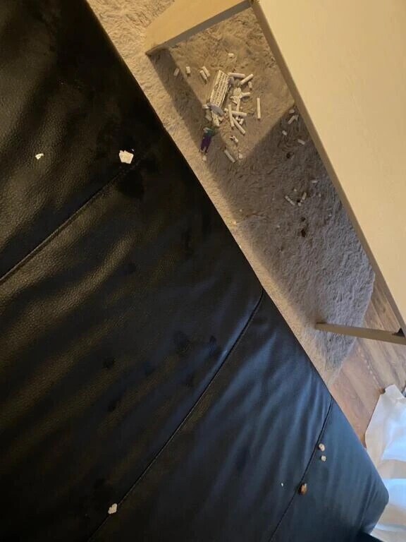 わんちゃん🐶入院になりました😭