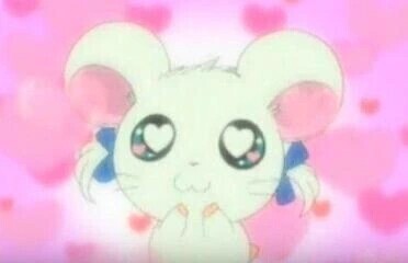 ハムちゃんずᐢ ̳>𖥦