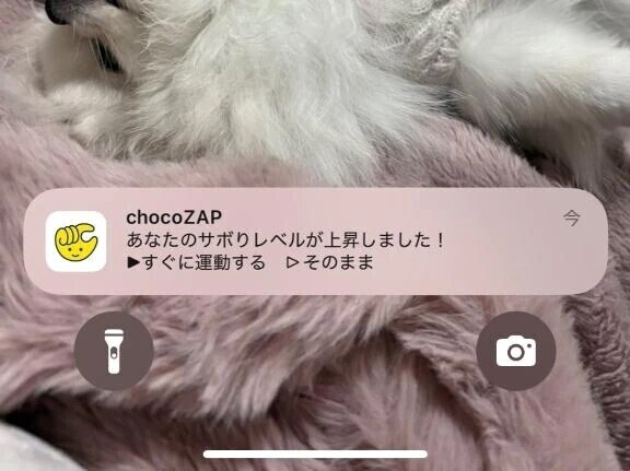 バレてしまったわね