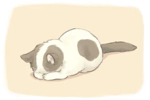 ごめんなさい😭