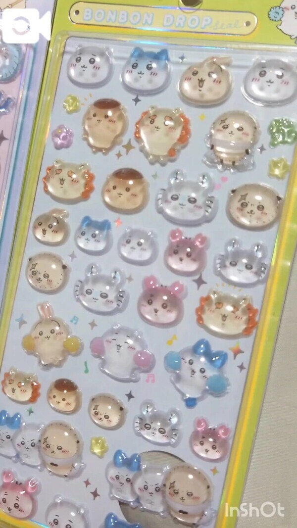 (🎥動画)シル活。