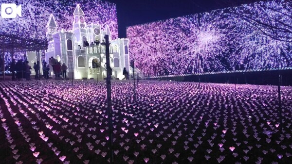 12/7💕仲良しT君💕