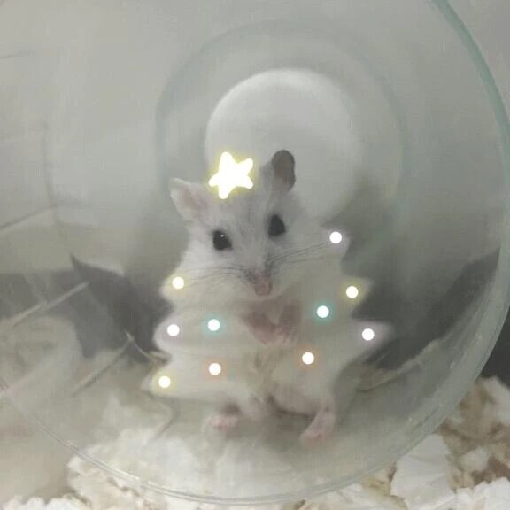 副作用酷すぎてまた明日病院🫨