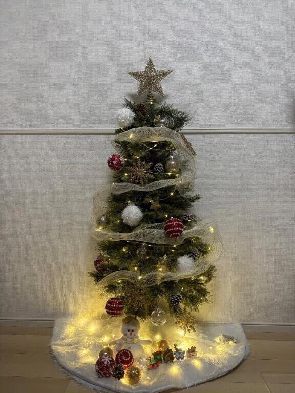 さえのおうちにもついにっ‼️