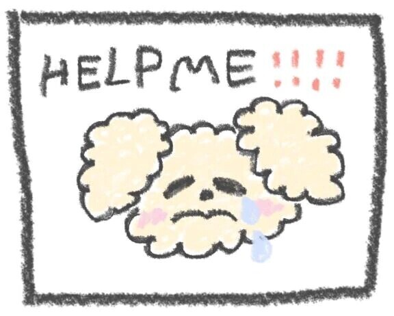 (   ´･ｪ･`)ｸｰﾝ