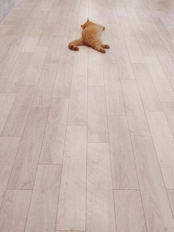 ただ今のお時間～ご案内💁