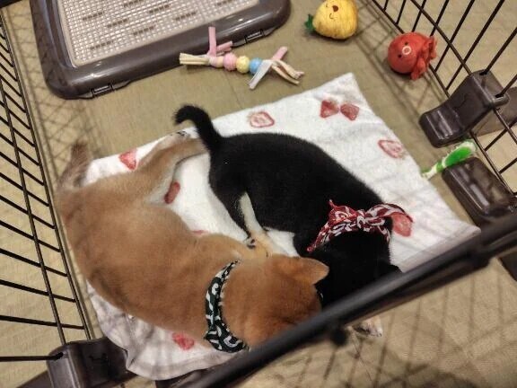 💕仲良しT君💕