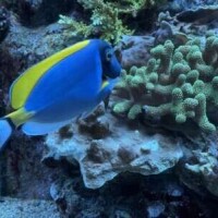 水族館🐬🐟🐠にハマりそう🥺✨