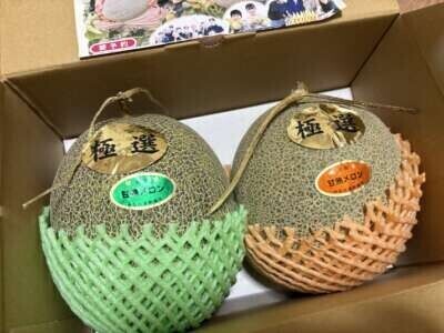 頼んだメロン🍈✨