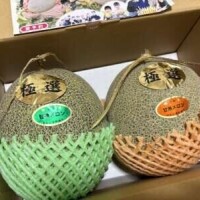 頼んだメロン🍈✨