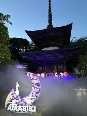 あじさい祭り👘🏮✨