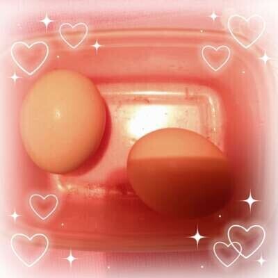 自作ゆで卵のその後🥚