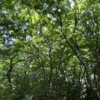 今回は