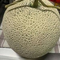 イバラキングかな？🥺💓