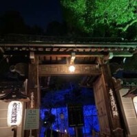青蓮院門跡✨✨青蓮華ライトアップ(っᵒ̴̷͈ᗨᵒ̴̶̷͈c)⭐