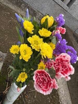 墓参り🍀*゜