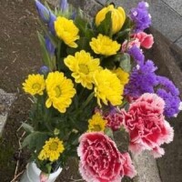 墓参り🍀*゜
