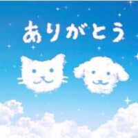 お礼日記