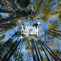お礼日記