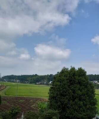 お久しぶりです🩷