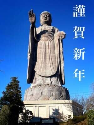 新年( * ॑꒳ ॑*  )✨