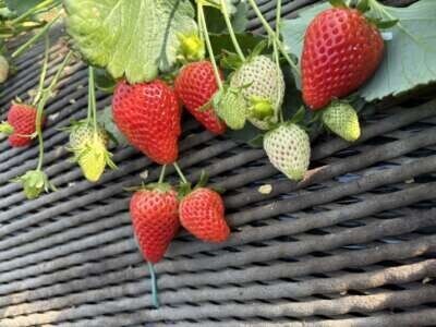 お出かけDay🛍🩷