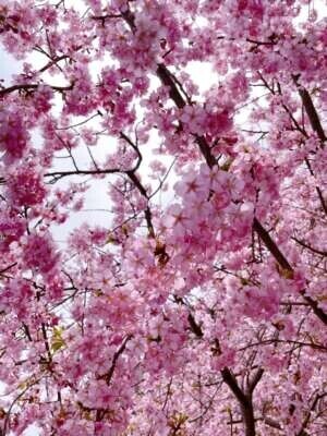 2/19ありがとうございました💓‪