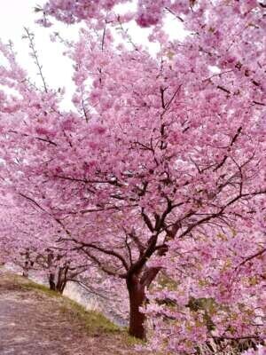 おはようございます💓