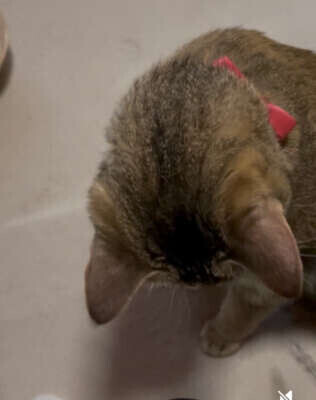 目がーーー🥹‪