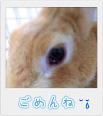 本日お休みさせていただきます😢