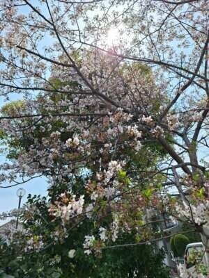 おはようございます☀️