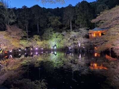 醍醐寺💜🌸💗世界遺産