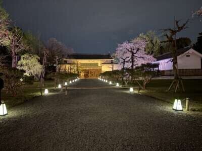世界遺産🧡二条城🏯✨✨
