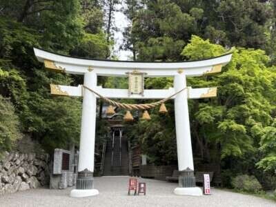 宝登山神社⛩✨✨