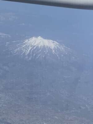 お仕事お疲れ様です·͜·ᰔᩚ